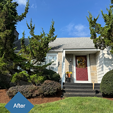 Pruning-Weeding-Mulch-Installation-in-Stratford-CT 6